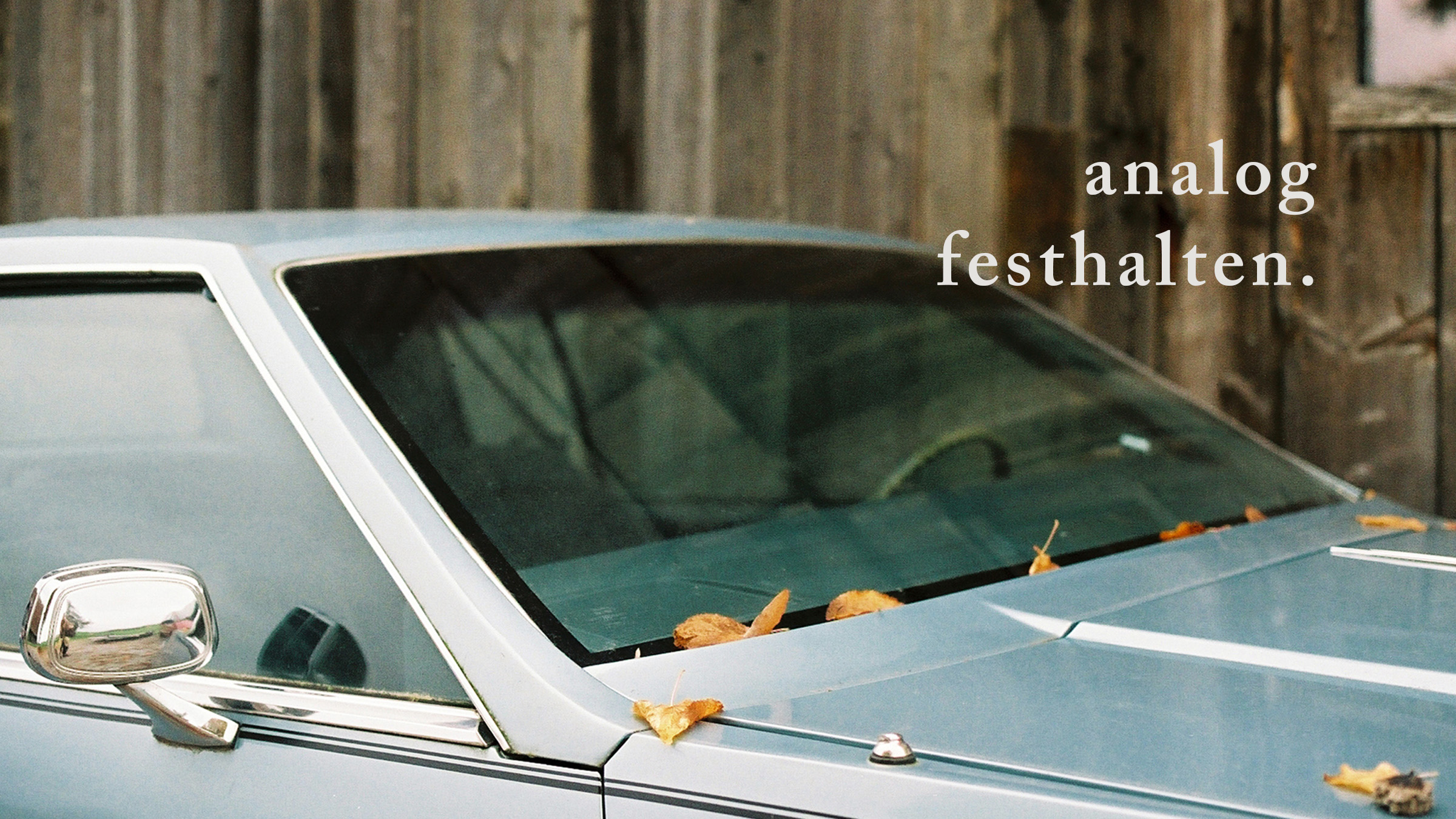 Analog festhalten