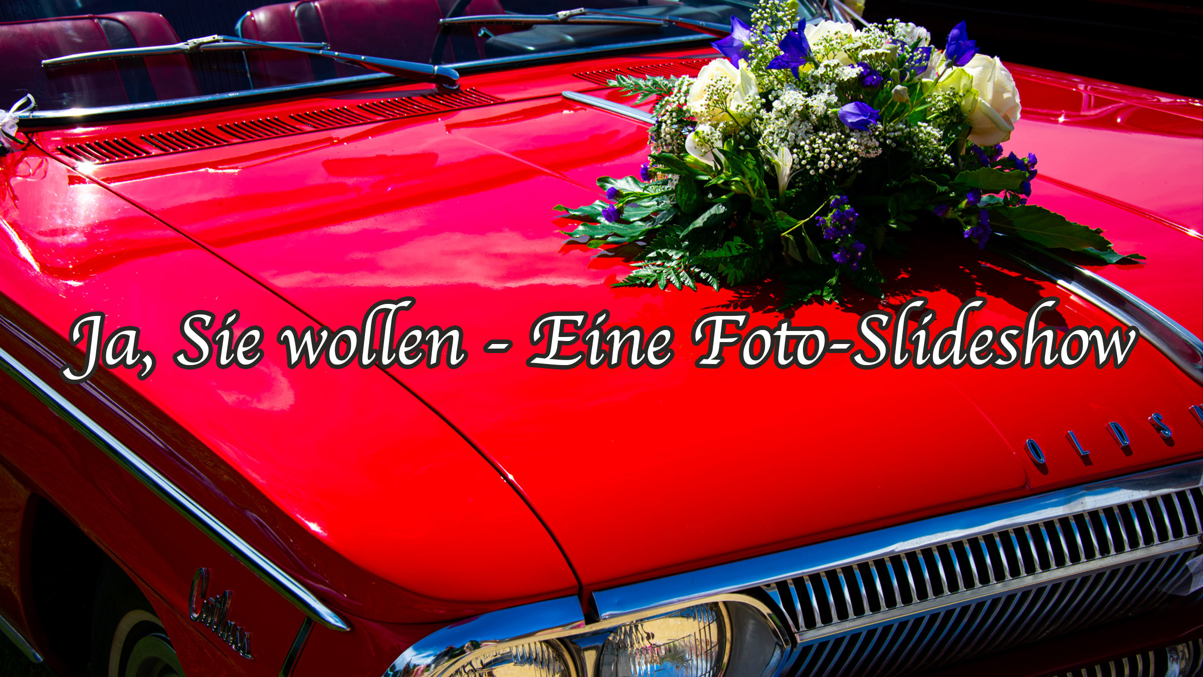 Ja, sie wollen – Foto-Slideshow