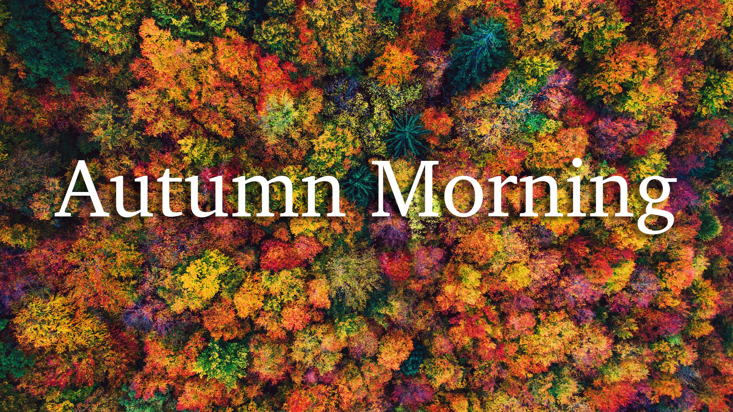 Musikvideo «Autumn Morning»