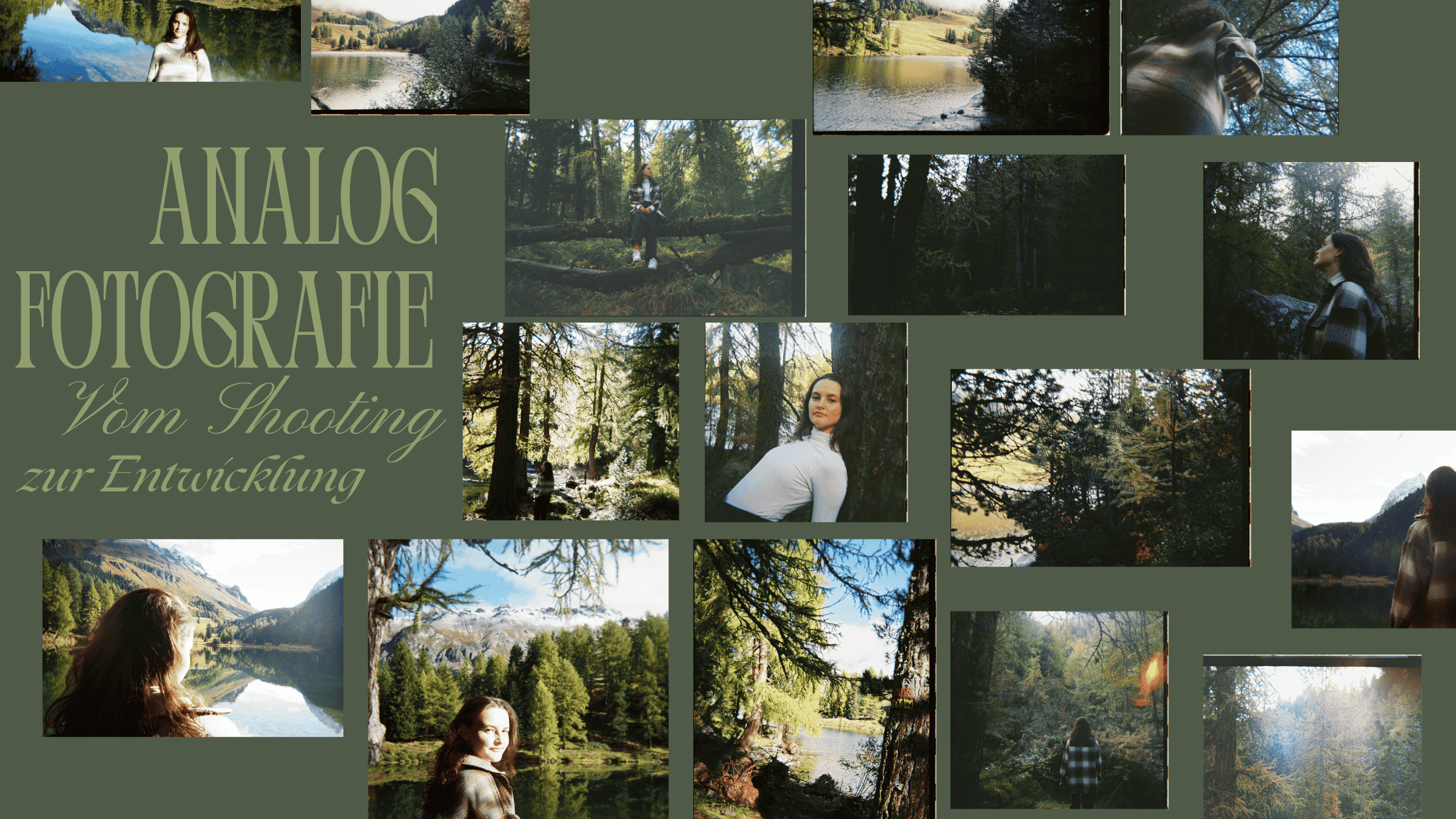 Wie Einwegkameras im Fotolabor entwickelt werden